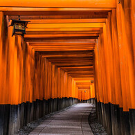 千本鳥居の朝　Ⅵ