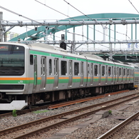 湘南新宿ライン　E231系