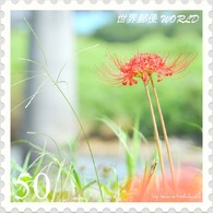 花切手＜2011-44＞＊ヒガンバナ