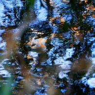 水面はartist3