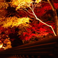 禅林寺永観堂