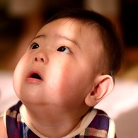 光を見上げて…
