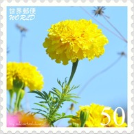 花切手＜2011-45＞＊マリーゴールド