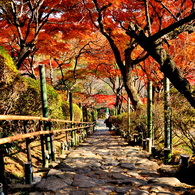 秋色トンネル