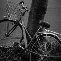 Blue bicycle