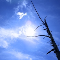空に届け