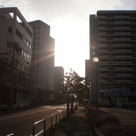 朝日に照らされて