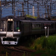 光の加減で
