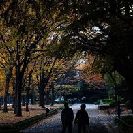 お二人のお散歩コース