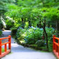 三千院・他