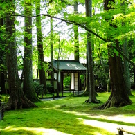 三千院・他