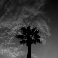 R0019356