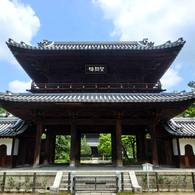 大きな