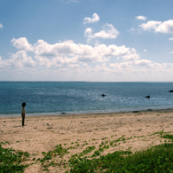 空と海と君と