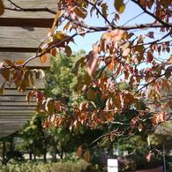 公園にて