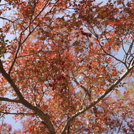 公園にて２