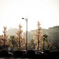 Street that becomes cloudy