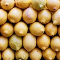 Lemons