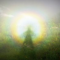 Brocken spectre　with flowers