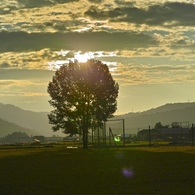 今朝の風景Ⅱ
