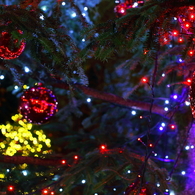 クリスマスツリー