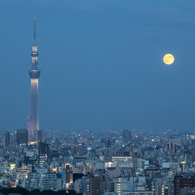 スカイツリーと夕月