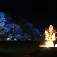 嵐山に活け花