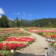 御岳ロープウェイ前のお花畑