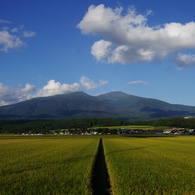 実りの秋-鳥海山