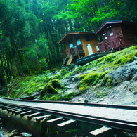 yakushima_2