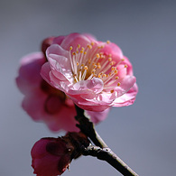 20050214-020-600