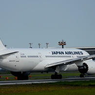 出発（225）Japan Airlines 787-8 