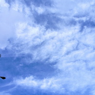 雨上がりの青空