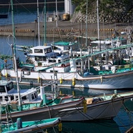 室津漁港