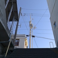 路地から空を見上げたら