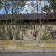 DSC02479