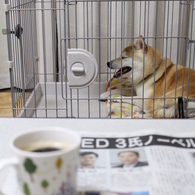 夜明けのコーヒー