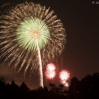 20141011-_DSC2165