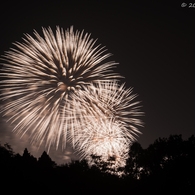 20141011-_DSC2224