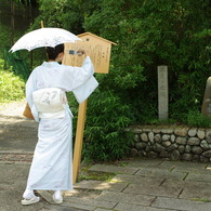 さわらびの道にて