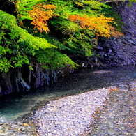 野洲川