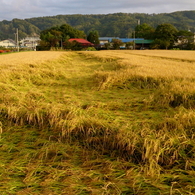 風の通り道