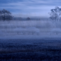 Myst
