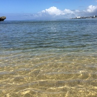 海2