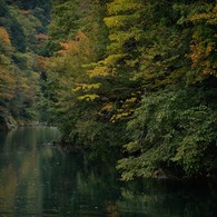 数馬峡谷にて