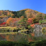 秋を探して2014@古峯神社_03