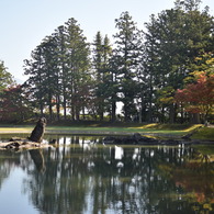 毛越寺の朝