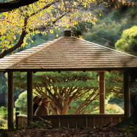 公園の人々－９