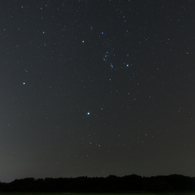 麦畑の星空