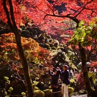 kongourinji　shiga